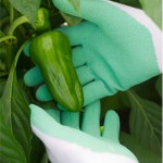 Gardening Gloves Bamboo Fit – Green