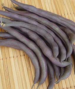 Royalty Purple Pod Bean Seed | Garden Seeds and Plants