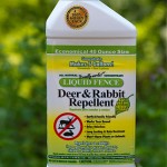 Deer and Rabbit Repellent – Concentrate