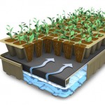 Eco Friendly Ultimate Growing System