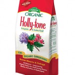 Holly -Tone®