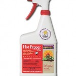 Hot Pepper Wax