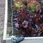 Irrigation Kit – Row Crops