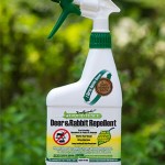 Natural Deer & Rabbit Spray 32 oz.