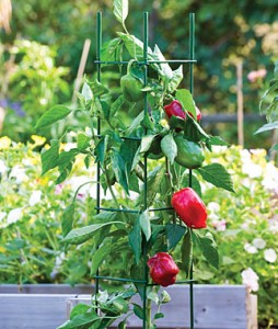 Pro Series Folding Plant Supports | Garden Seeds and Plants