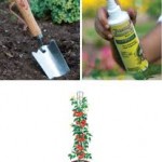 Tomato Planters Gift Kit