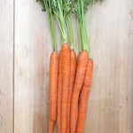 Carrot Mokum Hybrid