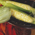 Corn Trinity Hybrid