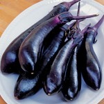 Eggplant Millionaire Hybrid