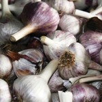 Garlic Asian Tempest