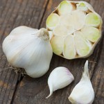Garlic Extra Select