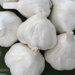 Garlic Italian Late
