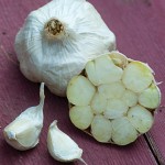 Garlic Italian Loiacono