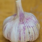 Garlic Shilla