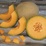 Melon Cantaloupe Armenian Sunrise Hybrid