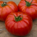 Tomato Heritage Hybrid
