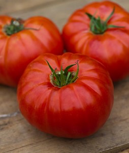 Tomato Heritage Hybrid 