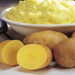 Potato Daisy Gold