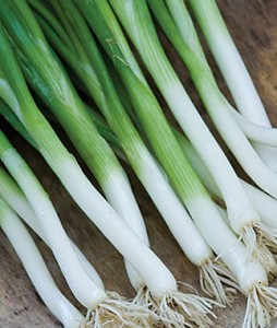 Bunching Onion Parade | Garden Seeds and Plants