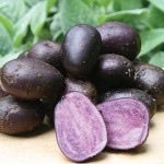 Potato Purple Majesty