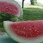 Watermelon Congo