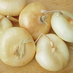 Onion Cippolina Borretana