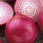 Onion Red Creole