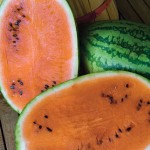 Watermelon Orange Tendersweet
